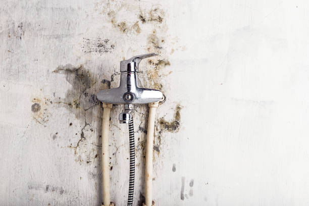 Mold Testing and Removal in Caddo, OK