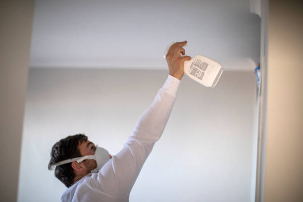 Mold Removal and Inspection in Caddo, OK