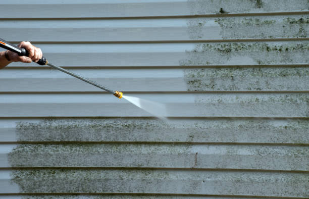 Best Commercial Mold Removal  in Caddo, OK