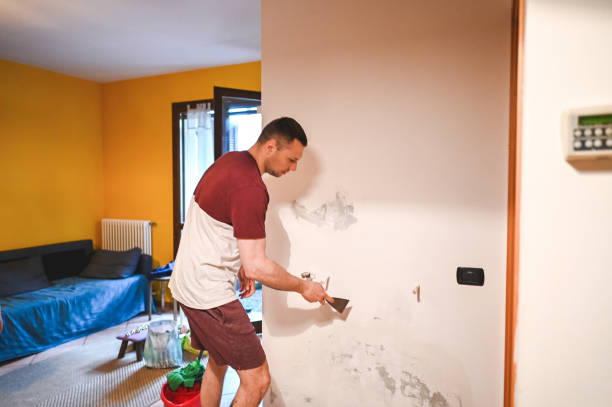 Best Professional Mold Removal  in Caddo, OK