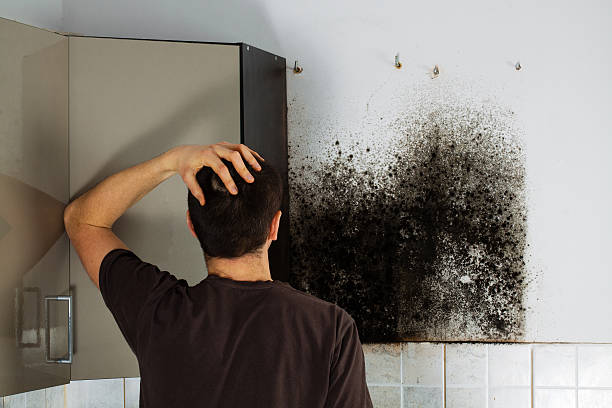 Best Local Mold Removal Service  in Caddo, OK